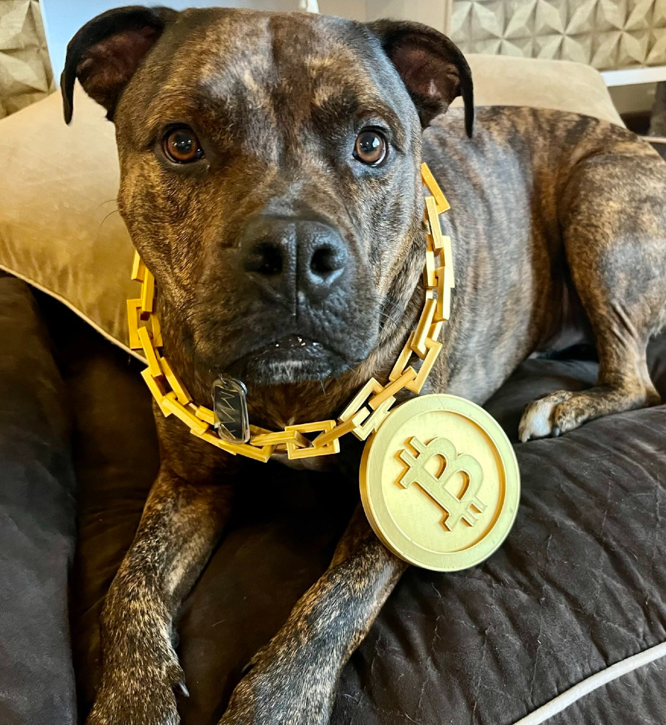 Bitcoin Chain v2 - Image 2