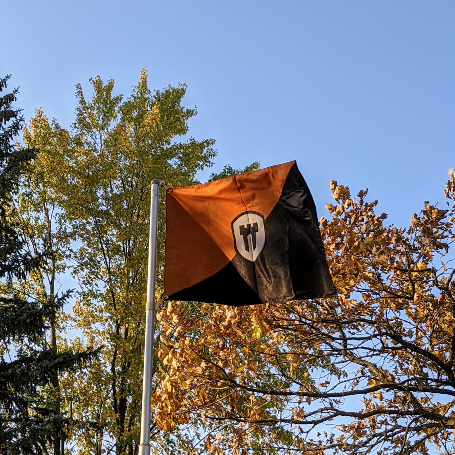 Citadel Flag - Image 3
