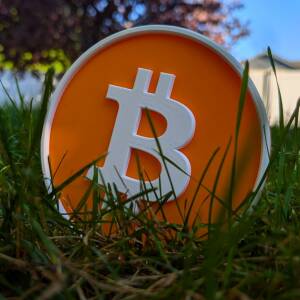 Bitcoin Yard Marker