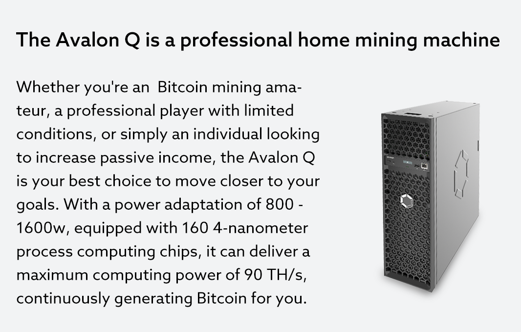 Canaan Avalon Q - US Plug - Image 3