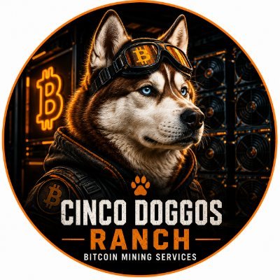 Cinco Doggos Ranch Bitcoin Mining Services